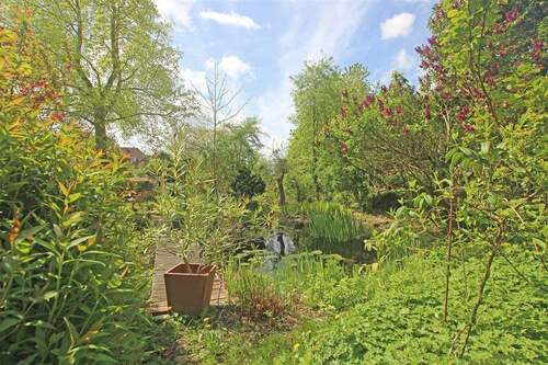 Blick in den Garten - Bild 1 - 