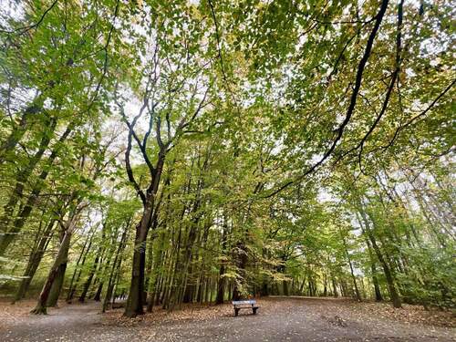 Waldpark Marienhöhe mit Freibad & Tennisverein - 
