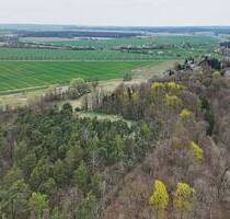 1,6 ha forstwirtschaftliche Fläche - Steinhöfel