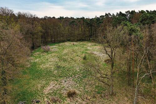 Detailaufnahme - Grundstück in Steinhöfel