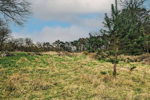 Blick auf das Grundstück - Grundstück in Steinhöfel zum Kaufen