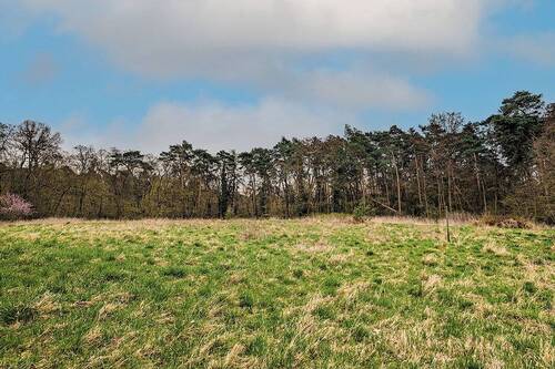Blick auf das Grundstück - 