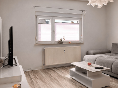 Wohnzimmer.png - Etagenwohnung mit 38,00 m&sup2; in Meerane zur Miete