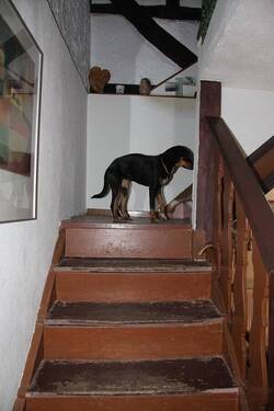 Bild 27 - 