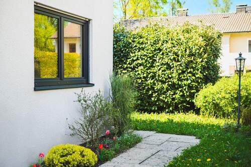 schön eingewachsen - 