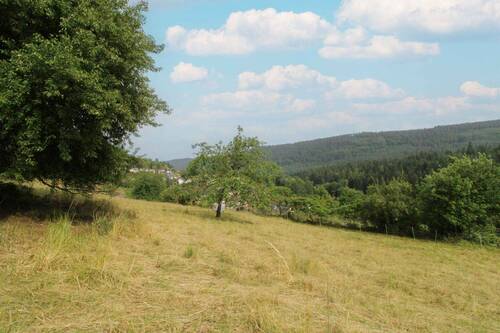 Grundstück von oben Bild 1 - 