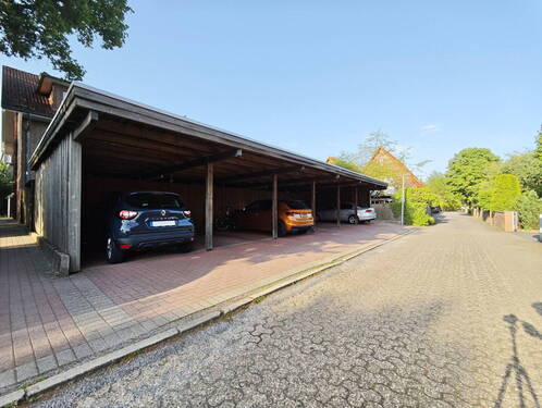 Carpotreihe - 
