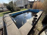 Pool im Winterschlaf - 