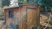 Schuppen - 