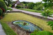 Teich im Garten - 