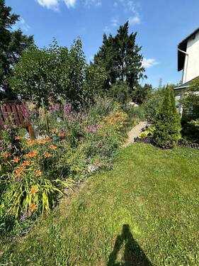 IMG-20250625-WA0207.jpg - 