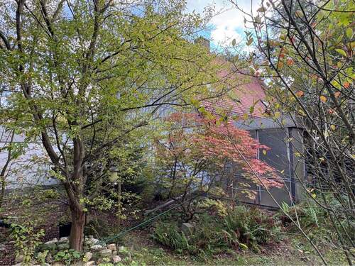 Garten - 