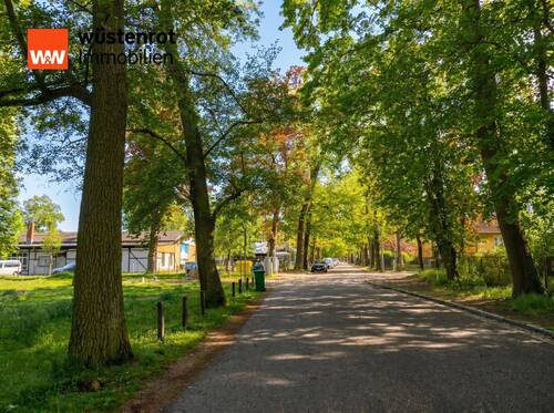 Straßenansicht zur Ahornallee Ahornallee - Grundstück in Zeuthen zum Kaufen