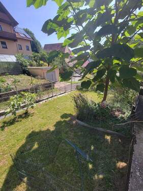 Garten.JPG - NEUER PREIS!!!!! Einfamilienhaus mit viel Platz
