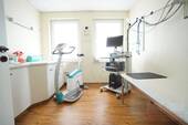 Untersuchung - 