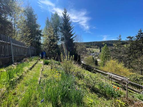 Garten mit Gemüsebeeten - 