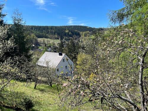 Streuobstwiese mit Hausansicht - 