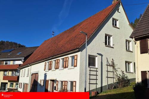  Außenansicht - REDUZIERT: Bauernhaus mit Potential und großem Grundstück in Reichenbach