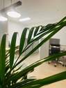 Bild 12 - 