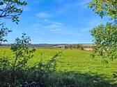 Weide mit Ausblick - 