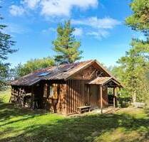 3,5 ha Land mit Jagdhütte - in der Nähe der beiden Saaletalsperren (A1619) - Remptendorf Liebengrün