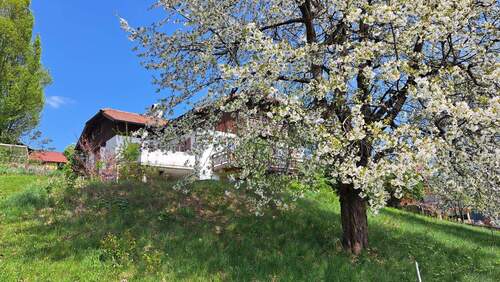 Außenansicht vom Garten - 