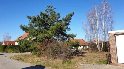 Ansicht 2 - Grundstück in Calau