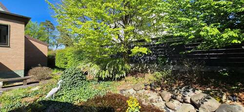 20260422_151750.jpg - 