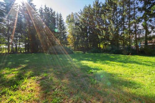 Garten Waldrand - 