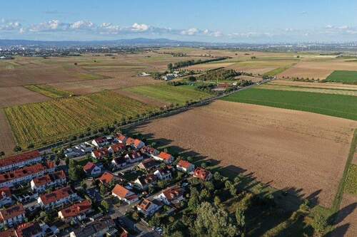 Leben_im_Gruenen - Grundstück in Mainz zum Kaufen