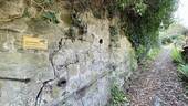 Zuwegung zum Haus - 