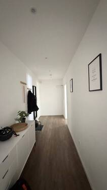 IMG_1716.jpeg - 