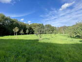 Bild 17 - 