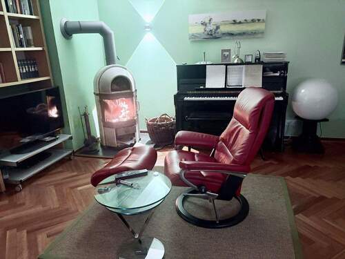 Kaminofen Wohnzimmer - 