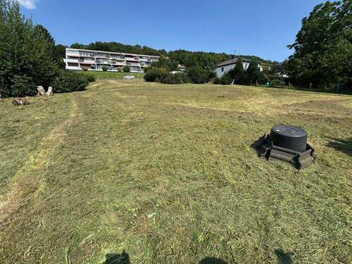 IMG_6377 - Grundstück in Nieste