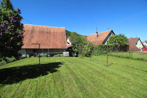 sonniger Garten - 