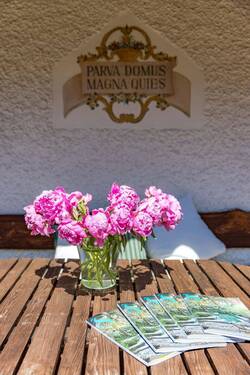 Terrassenstimmung - 
