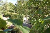 Bild 10 - 