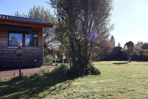 Freifläche mit Weide - 