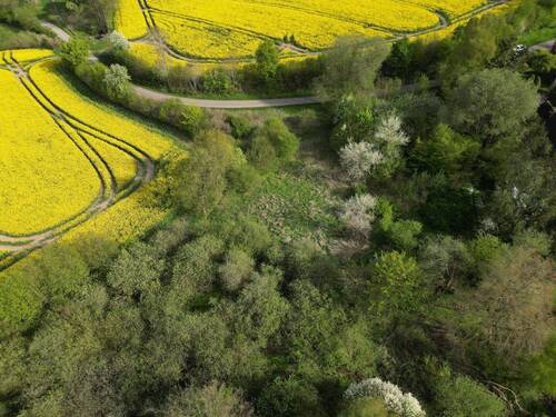 Bild 2 - Grundstück zum Kaufen in Bebensee