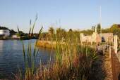 Uferbereich - 