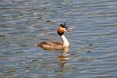Natur - 