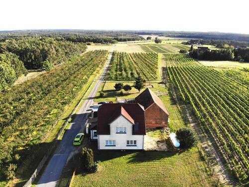 Blick nach Süd - Saniertes EFH mit viel Nebengelass direkt am Weinberg
