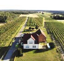 Saniertes EFH mit viel Nebengelass direkt am Weinberg - Jessen (Elster)
