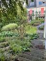 Gartenimpressionen - 