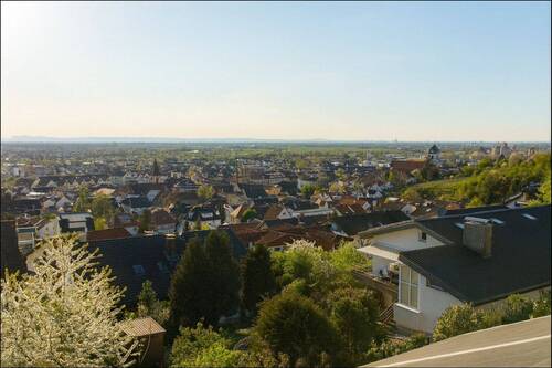 Blick über die Rheinebene - 