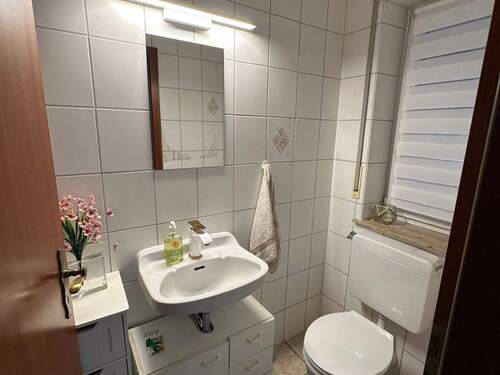 tempImageWp2v38.jpg - 