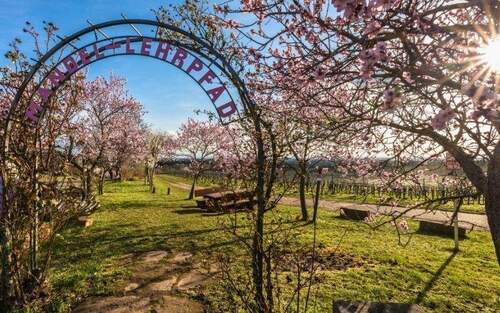 Wohnen inmitten der Weinberge und Pfälzerwald - Wohnen im atmospärischen Gimmeldingen - Abrissimmobilie