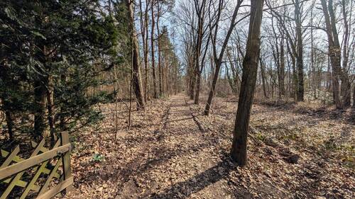 Garten - 