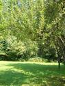 Garten Bild 2.jpg - Grundstück in Bruckmühl